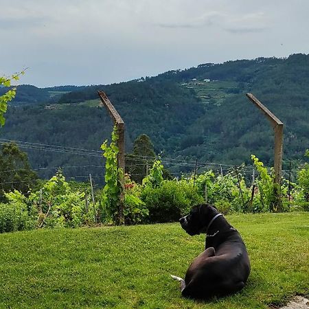 Casa Da Vina - Ribeira Sacra Villa Nogueira De Ramuin Eksteriør bilde