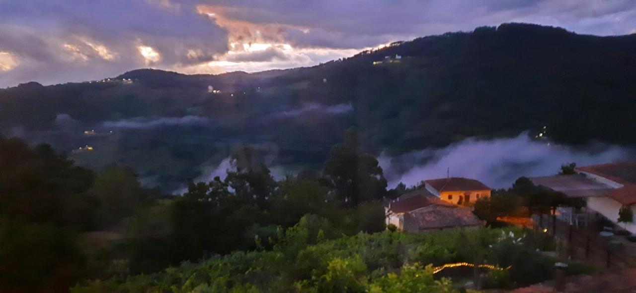 Casa Da Vina - Ribeira Sacra Villa Nogueira De Ramuin Eksteriør bilde