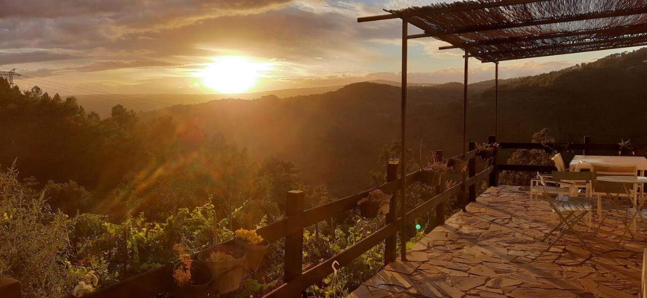 Casa Da Vina - Ribeira Sacra Villa Nogueira De Ramuin Eksteriør bilde