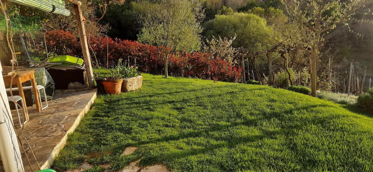 Casa Da Vina - Ribeira Sacra Villa Nogueira De Ramuin Eksteriør bilde