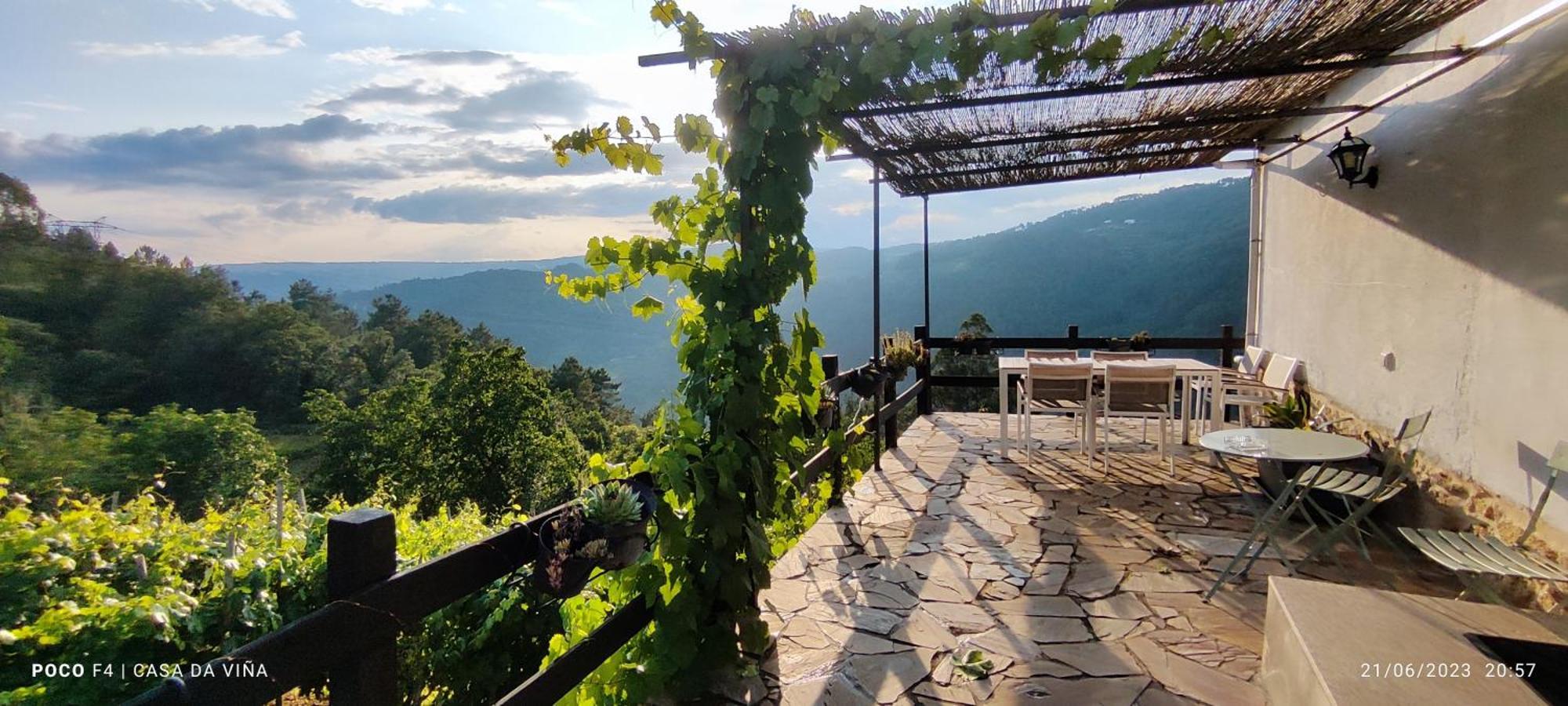 Casa Da Vina - Ribeira Sacra Villa Nogueira De Ramuin Eksteriør bilde