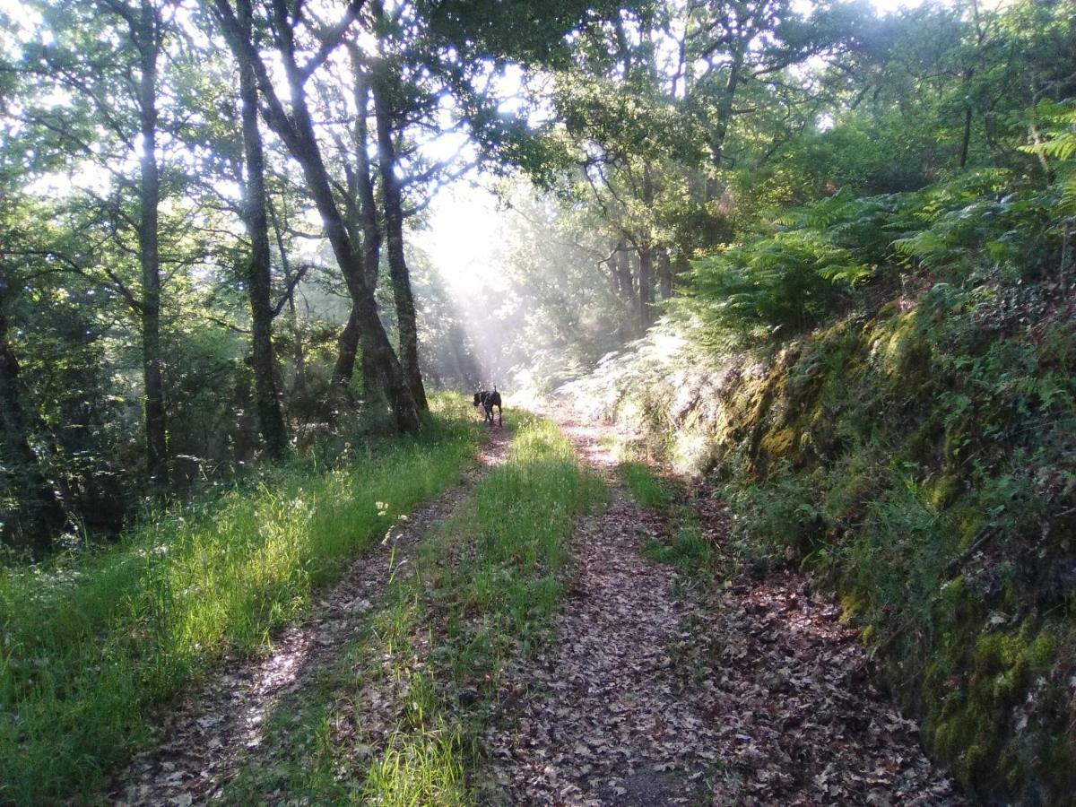 Casa Da Vina - Ribeira Sacra Villa Nogueira De Ramuin Eksteriør bilde