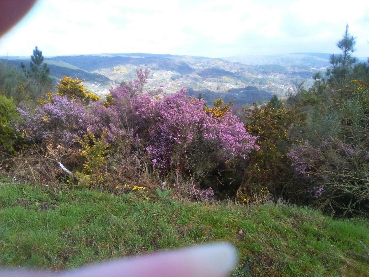 Casa Da Vina - Ribeira Sacra Villa Nogueira De Ramuin Eksteriør bilde