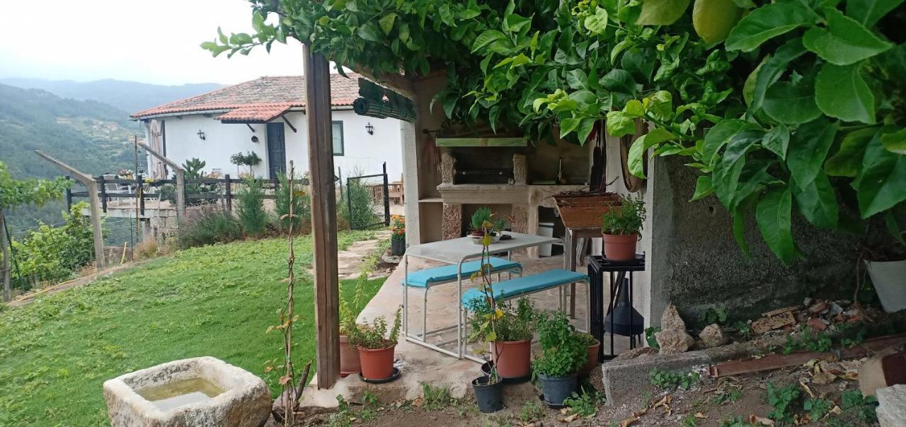 Casa Da Vina - Ribeira Sacra Villa Nogueira De Ramuin Eksteriør bilde