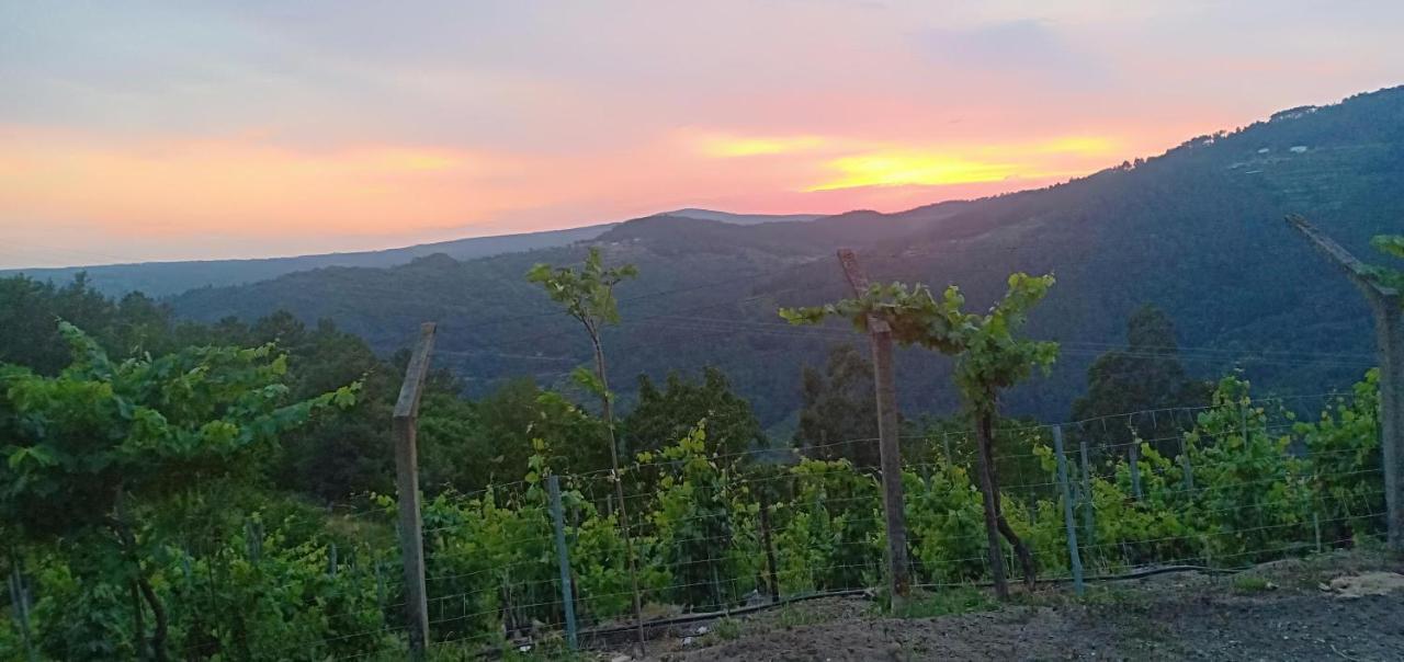 Casa Da Vina - Ribeira Sacra Villa Nogueira De Ramuin Eksteriør bilde