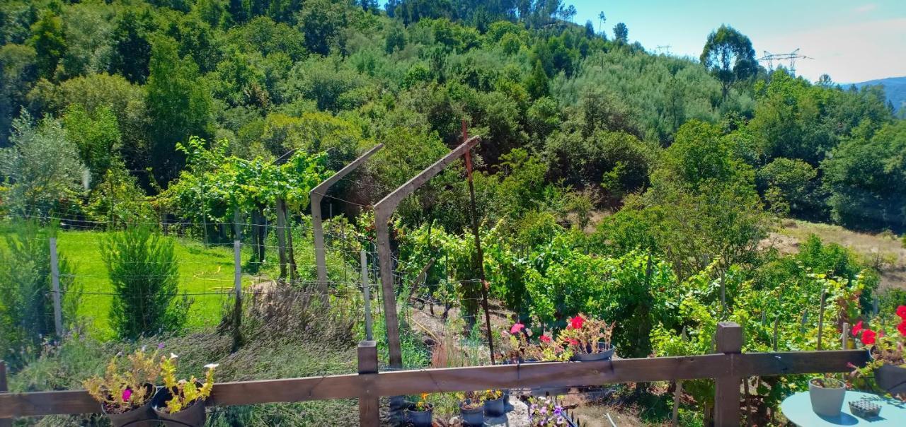 Casa Da Vina - Ribeira Sacra Villa Nogueira De Ramuin Eksteriør bilde
